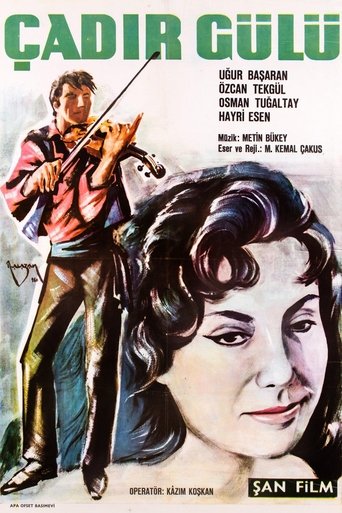 Çadır Gülü Poster of Çadır Gülü