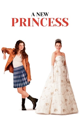 Poster of A New Princess