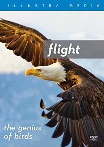 Flight: The Genius of Birds Poster of Flight: The Genius of Birds