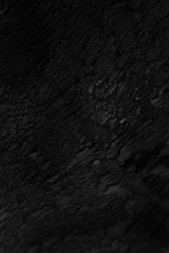 PRECURSOR Poster of PRECURSOR