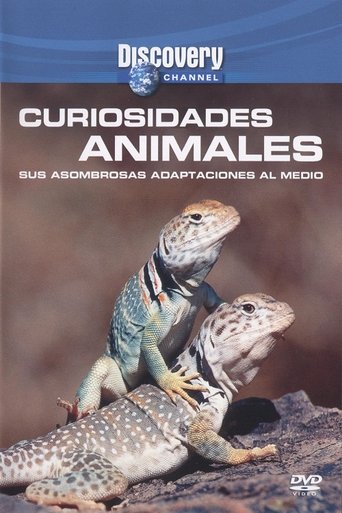 Wild Weird Animals Poster of Wild Weird Animals