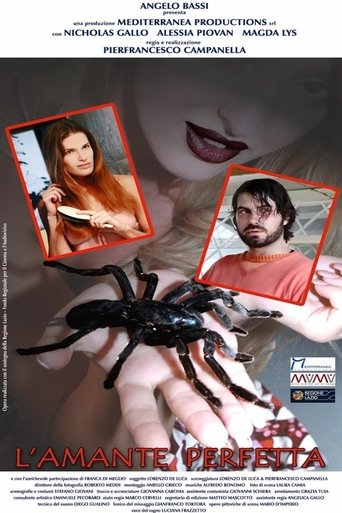 L'amante perfetta Poster of L'amante perfetta