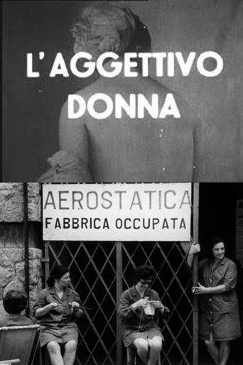 The Adjective Woman Poster of The Adjective Woman