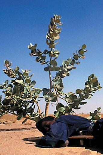 Tchissète, The Mirror of the Tuareg Poster of Tchissète, The Mirror of the Tuareg