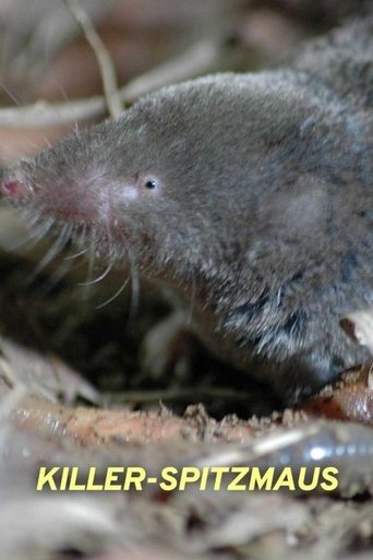 Killer Shrew Poster of Killer Shrew