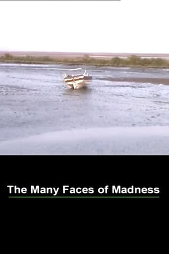 The Many Faces of Madness Poster of The Many Faces of Madness
