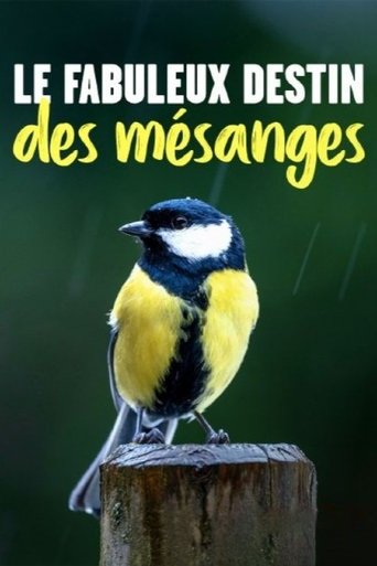 Kleine Meise ganz groß Poster of Kleine Meise ganz groß