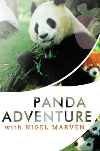 Panda Adventure with Nigel Marven Poster of Panda Adventure with Nigel Marven
