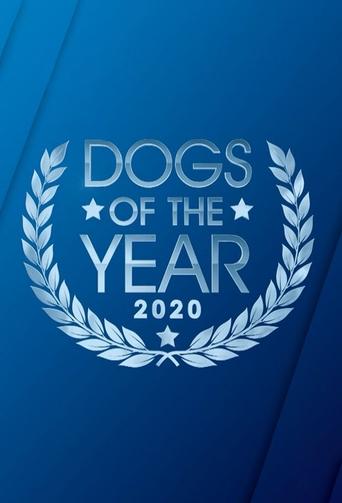 Dogs of the Year Poster of Dogs of the Year