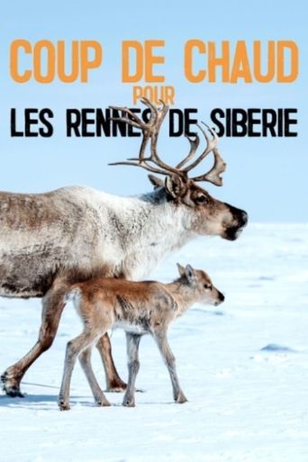 Heatstroke for the Siberian Reindeer Poster of Heatstroke for the Siberian Reindeer