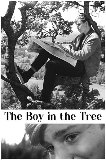 The Boy in the Tree Poster of The Boy in the Tree