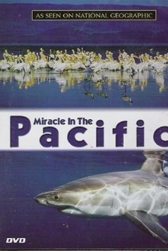 Miracle in the Pacific Poster of Miracle in the Pacific