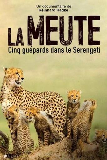 Die fünf Geparde - Gemeinsam durch die Serengeti Poster of Die fünf Geparde - Gemeinsam durch die Serengeti