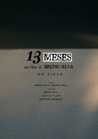 13 MESES Poster of 13 MESES