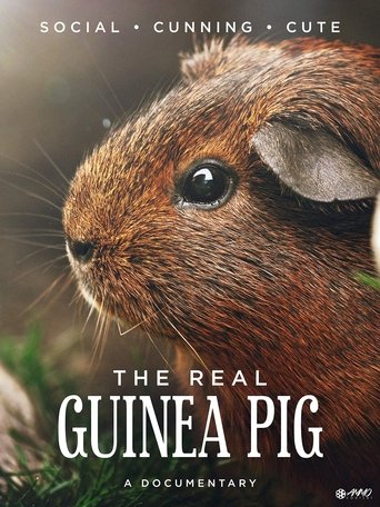 The Real Guinea Pig Poster of The Real Guinea Pig
