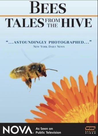 Bees - Tales from the Hive Poster of Bees - Tales from the Hive