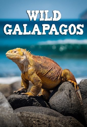 Wild Galápagos Poster of Wild Galápagos