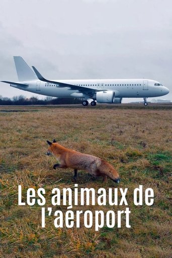 Airport Animal Stories Poster of Airport Animal Stories
