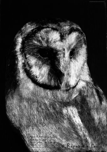 The Boy and the Owl Poster of The Boy and the Owl