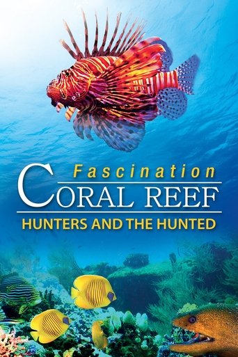 Fascination Coral Reef: Hunters and the Hunted Poster of Fascination Coral Reef: Hunters and the Hunted