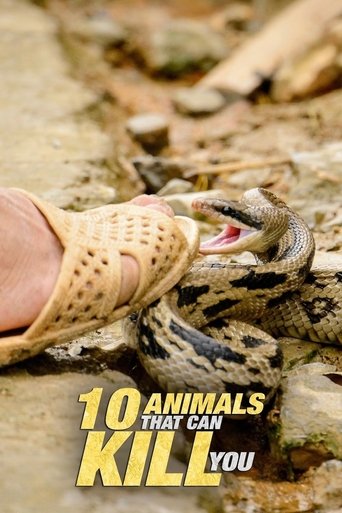 10 Animals That Will Kill You Poster of 10 Animals That Will Kill You