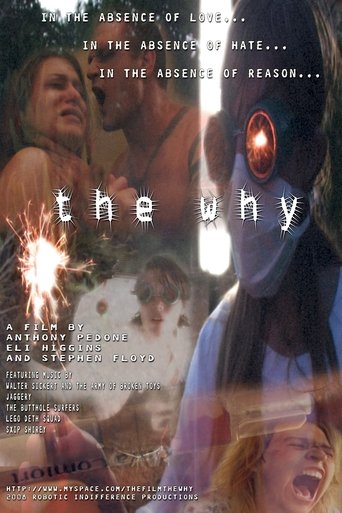 The Why Poster of The Why