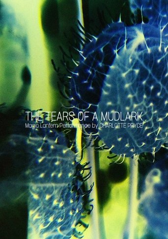 The Tears of a Mudlark Poster of The Tears of a Mudlark
