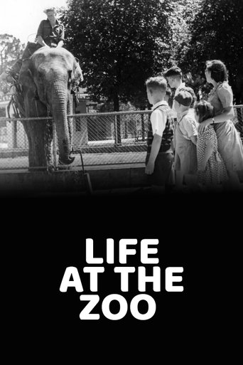 Life at the Zoo Poster of Life at the Zoo