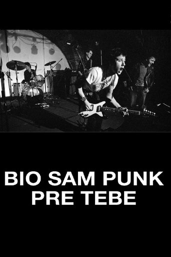 I Was a Punk Before You Poster of I Was a Punk Before You