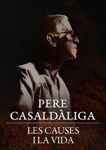 Pere Casaldàliga. Les causes i la vida Poster of Pere Casaldàliga. Les causes i la vida