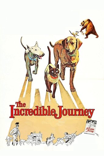 The Incredible Journey Poster of The Incredible Journey