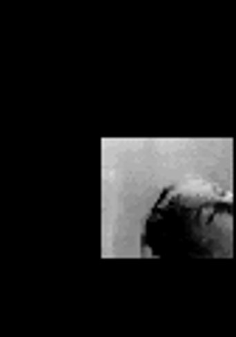 Little Movies. No. 5: Classical Cinema II Poster of Little Movies. No. 5: Classical Cinema II