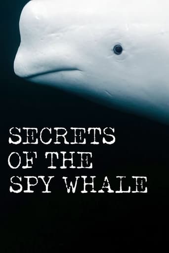 Secrets of the Spy Whale Poster of Secrets of the Spy Whale
