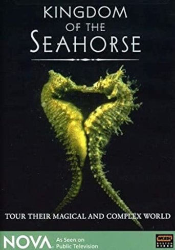 Kingdom of the Seahorse Poster of Kingdom of the Seahorse