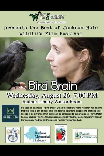 Bird Brain Poster of Bird Brain