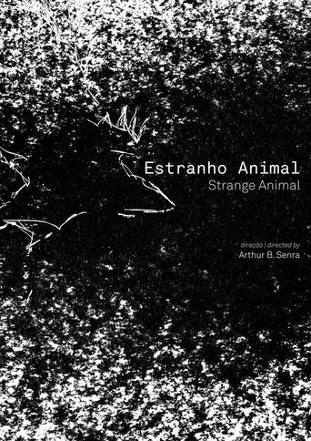 Estranho Animal Poster of Estranho Animal