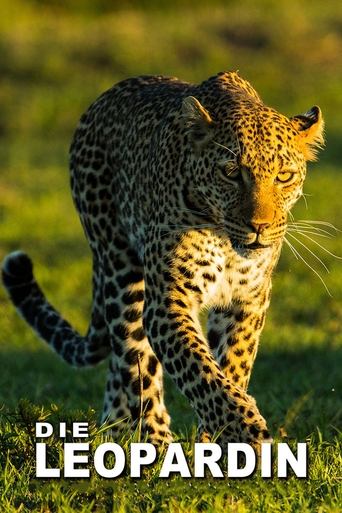 The Leopardess Poster of The Leopardess