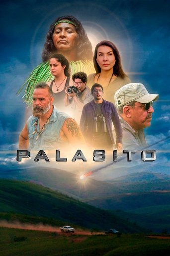 Pallasite Poster of Pallasite