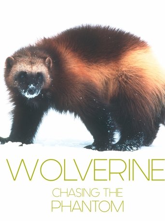 Wolverine - Chasing the Phantom Poster of Wolverine - Chasing the Phantom
