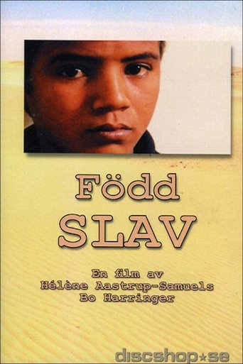Born Slave Poster of Born Slave