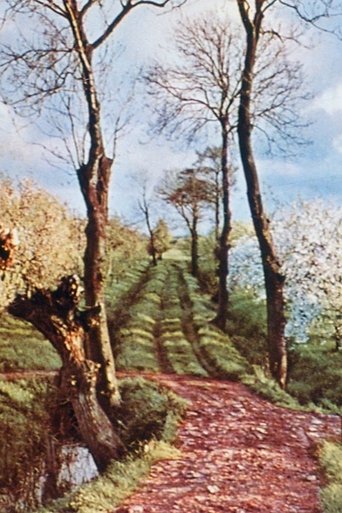 As It Was Revealed Unto Jeroen Eisinga Poster of As It Was Revealed Unto Jeroen Eisinga