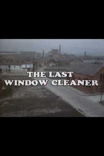 Poster of The Last Window Cleaner