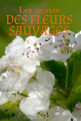 Les Secrets des fleurs sauvages Poster of Les Secrets des fleurs sauvages