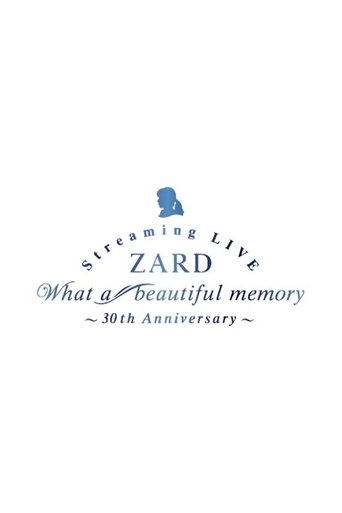 What a beautiful memory ~30th anniversary Poster of What a beautiful memory ~30th anniversary