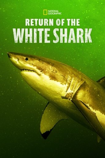 Return of the White Shark Poster of Return of the White Shark