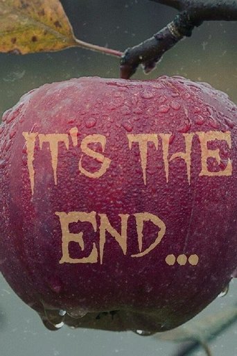It’s The End Poster of It’s The End