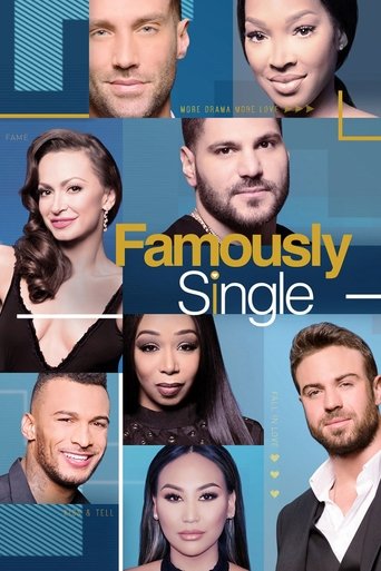 Famously Single Poster of Famously Single