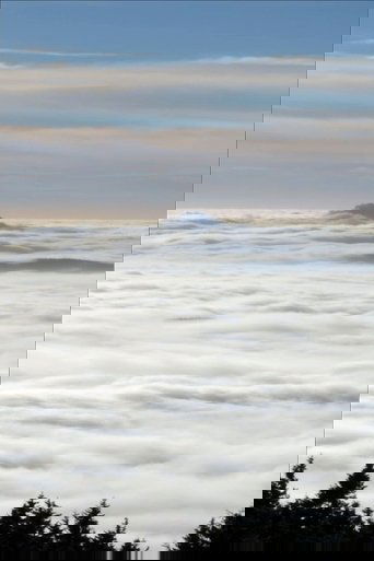 Waves Poster of Waves