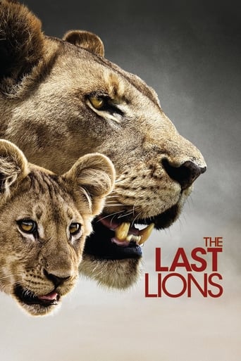 Poster of The Last Lions