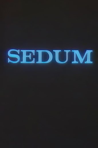 The Seven Poster of The Seven